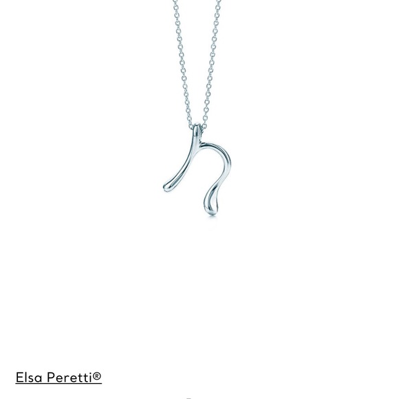 Tiffany and Co Elsa Peretti “N” necklace - Picture 1 of 4